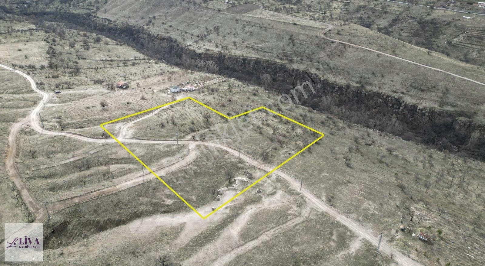 Liva'dan Reşadiye'de 1156 M² Rızai Taksimli Harika Bağ - Görsel 4