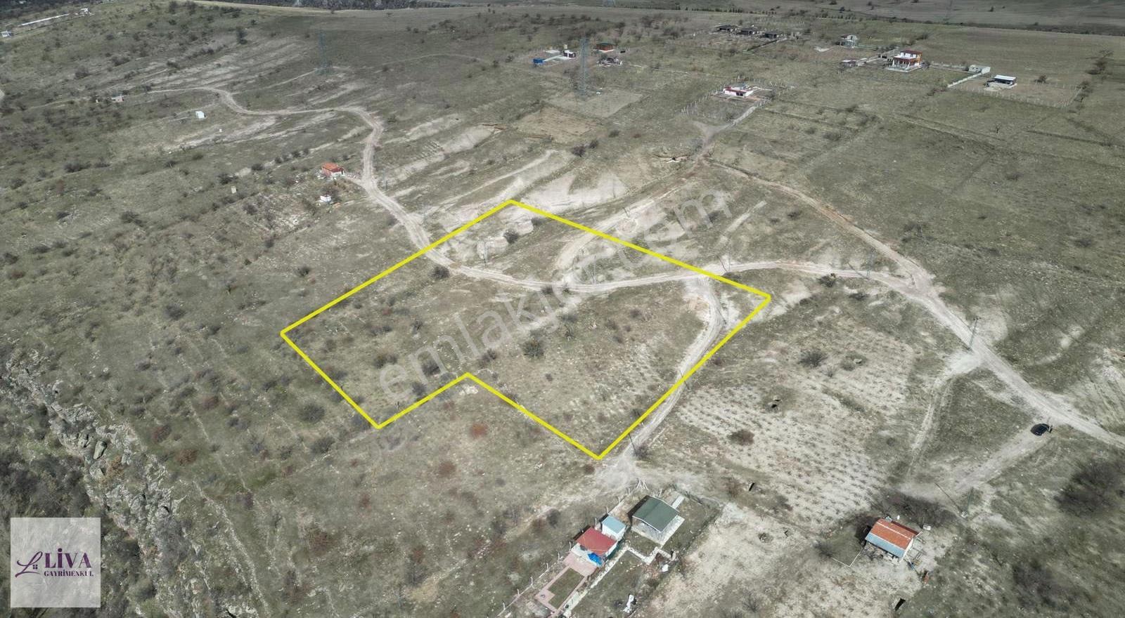 Liva'dan Reşadiye'de 1156 M² Rızai Taksimli Harika Bağ - Görsel 6