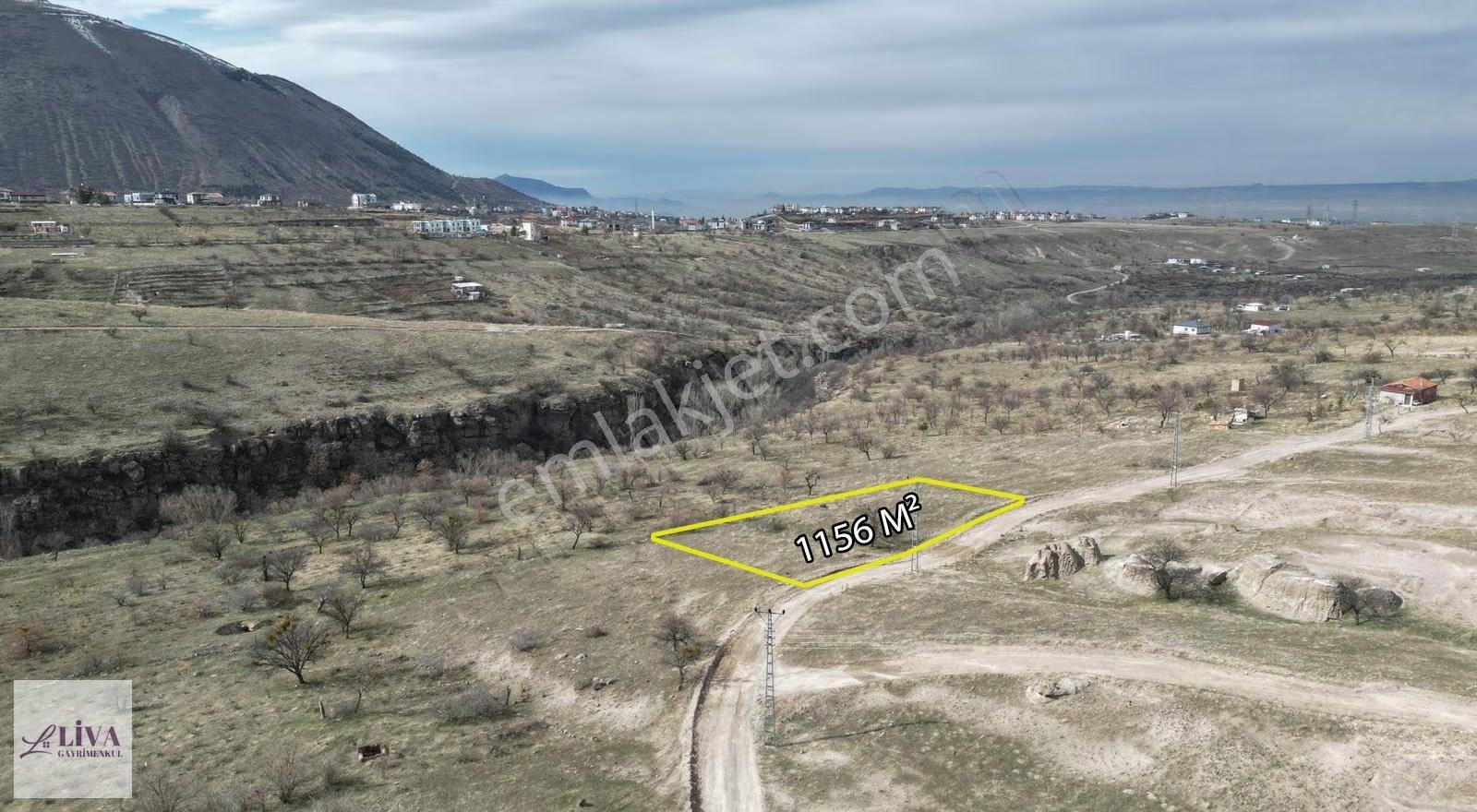 Liva'dan Reşadiye'de 1156 M² Rızai Taksimli Harika Bağ - Görsel 10