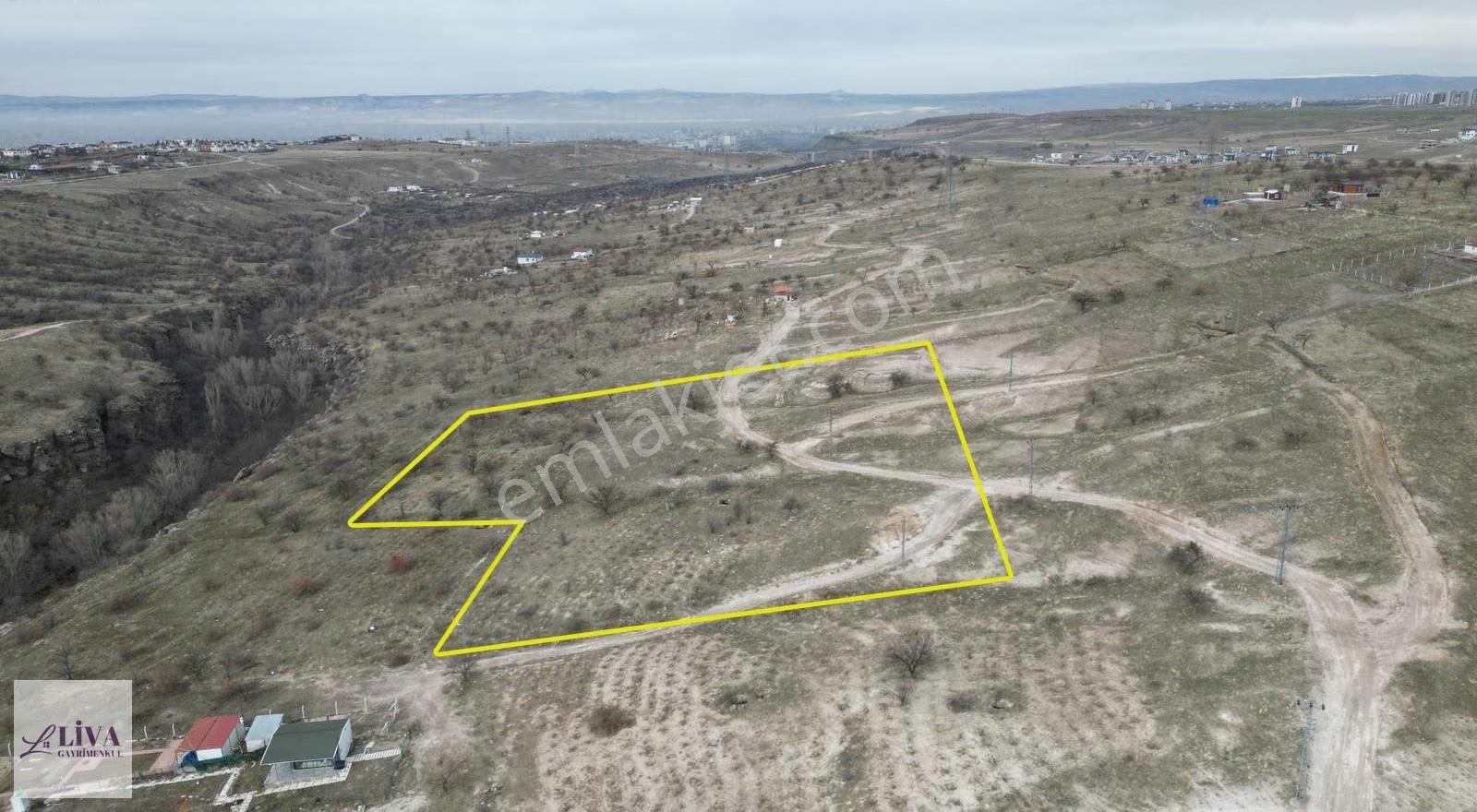 Liva'dan Reşadiye'de 1156 M² Rızai Taksimli Harika Bağ - Görsel 11