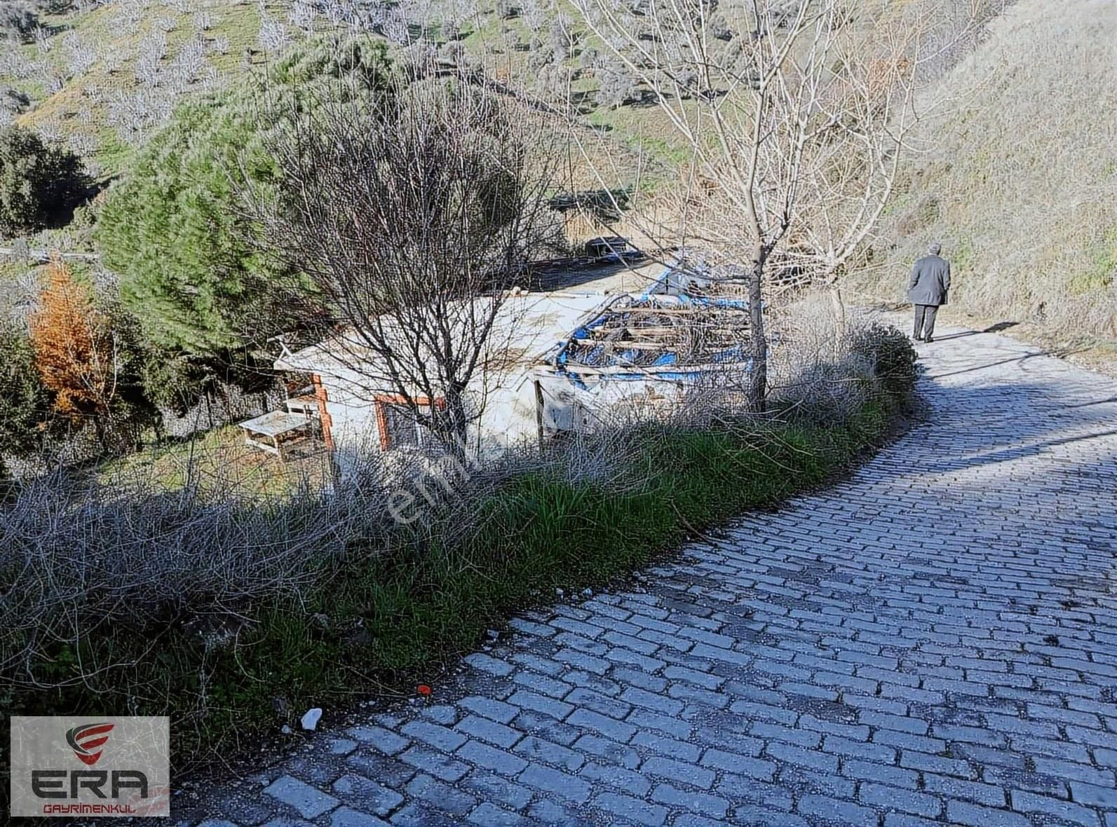 Era'dan Aydına13 Km Gölcükte7400 M2 İncir Bahçesi Ve Müstakil Ev - Görsel 10
