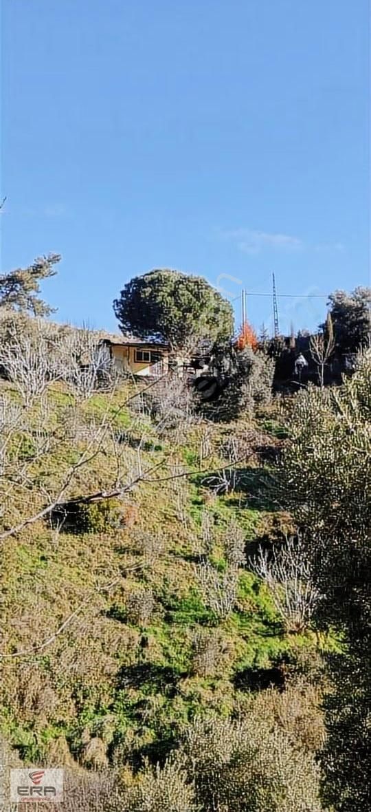 Era'dan Aydına13 Km Gölcükte7400 M2 İncir Bahçesi Ve Müstakil Ev - Görsel 11