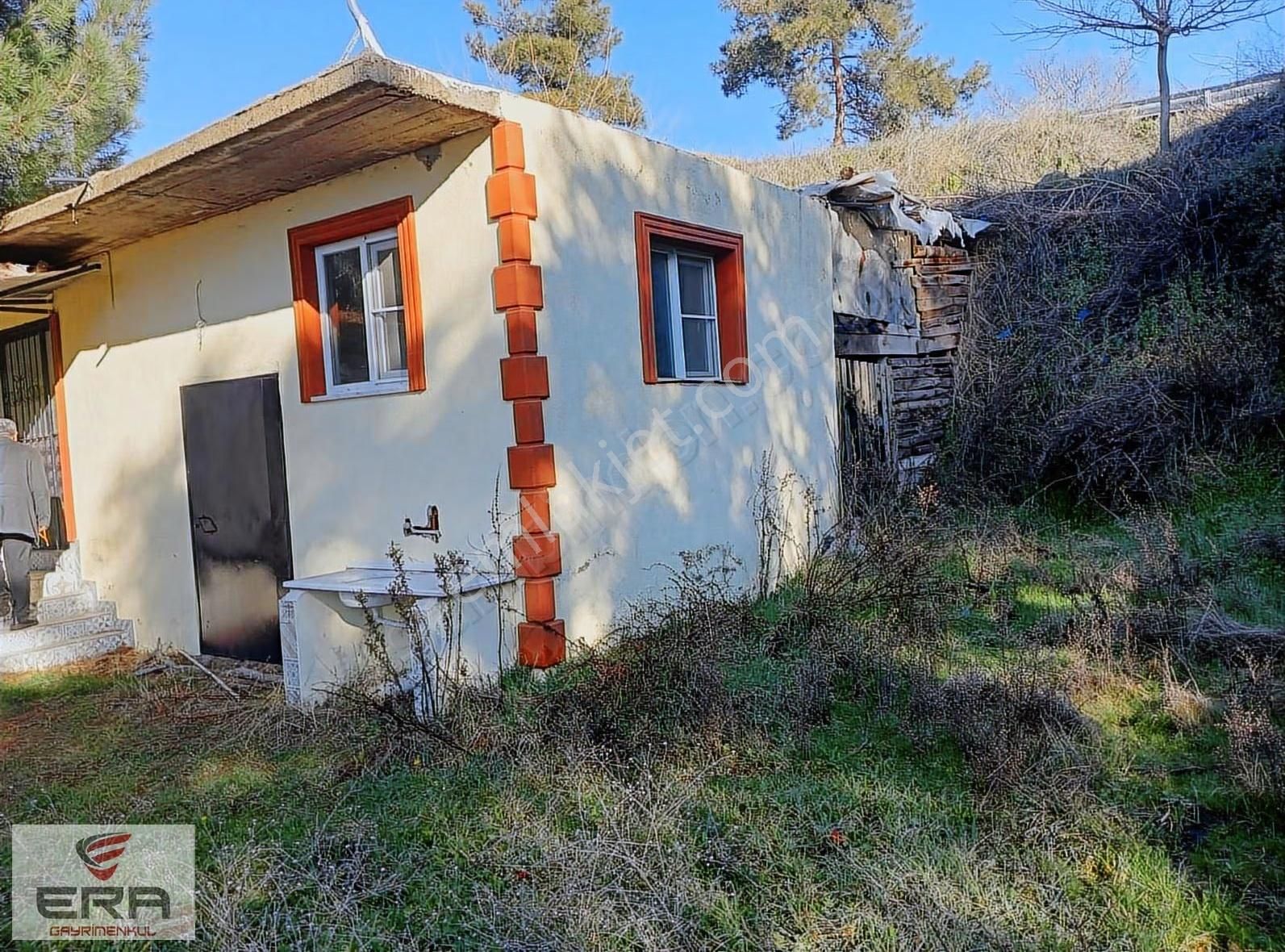 Era'dan Aydına13 Km Gölcükte7400 M2 İncir Bahçesi Ve Müstakil Ev - Görsel 8