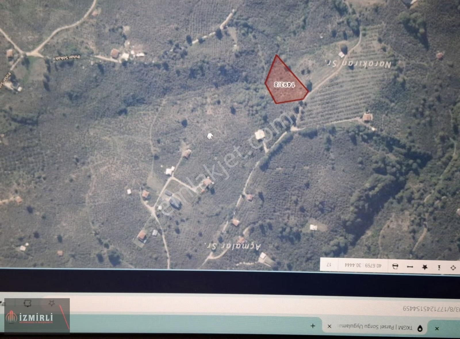 Sakarya Erenler Tepe Mah.yatırımlık Satılık Fındık Bahçesi - Görsel 4