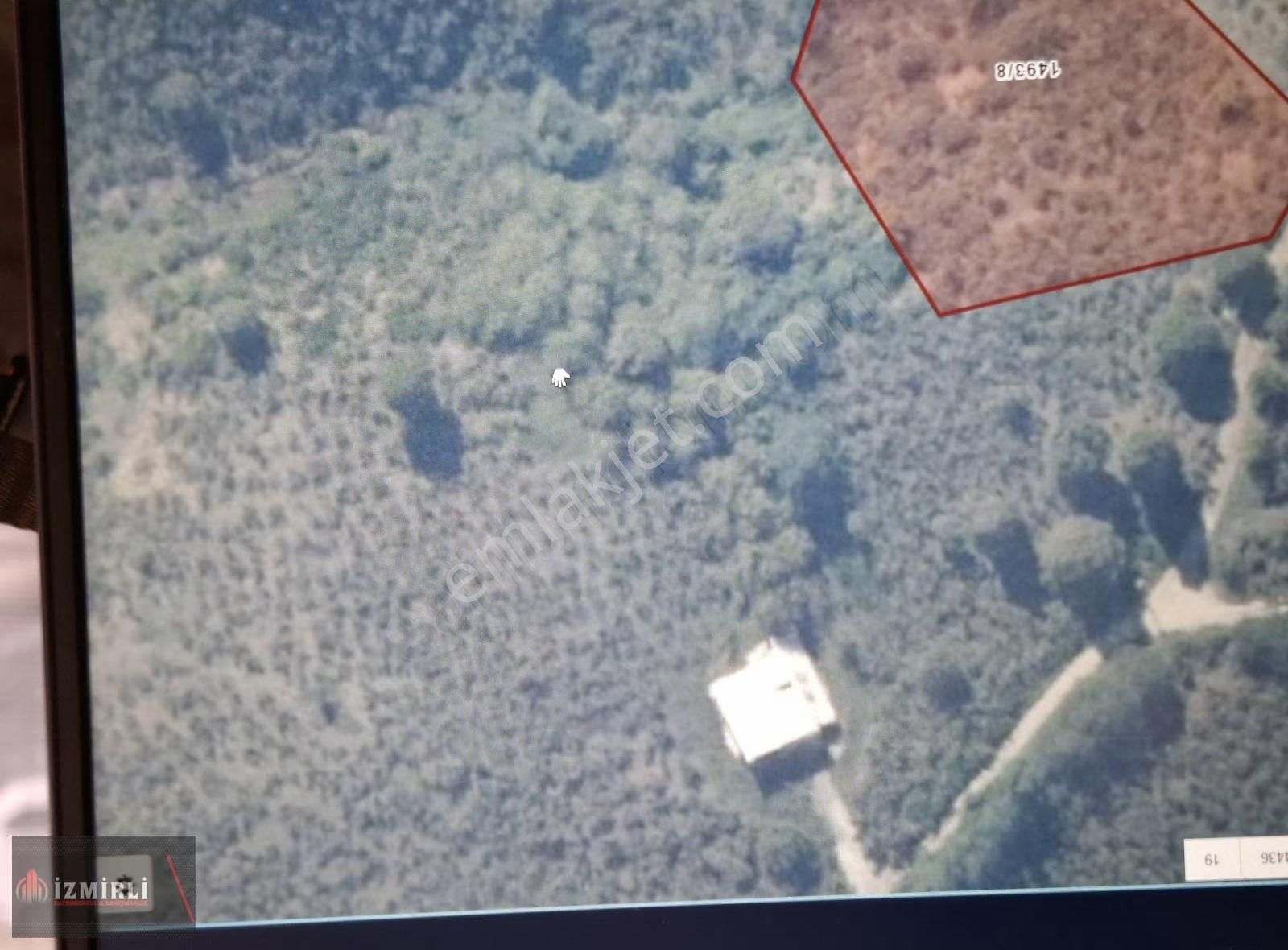 Sakarya Erenler Tepe Mah.yatırımlık Satılık Fındık Bahçesi - Görsel 5