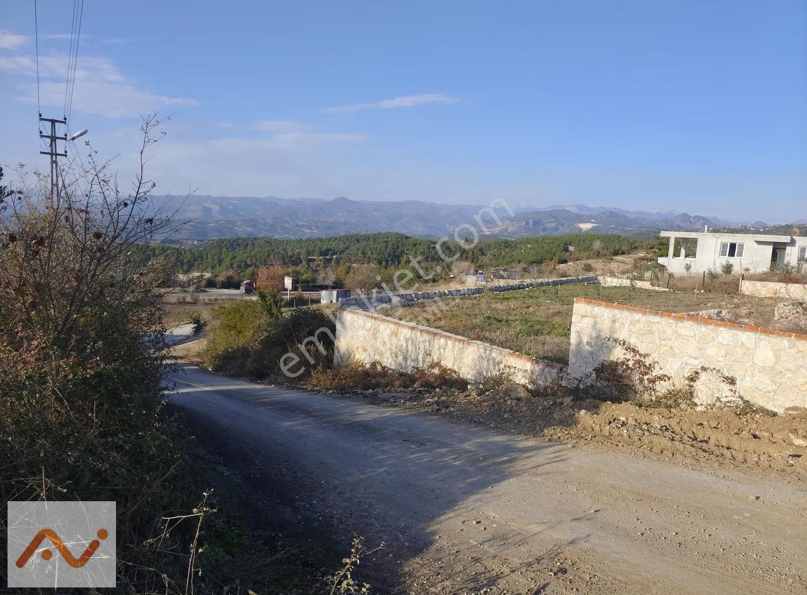 Akarca Yenigün De Yol Kenarı, Havadar Yaylalık - Görsel 3