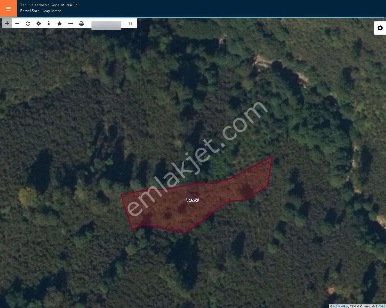 Ordu Perşembe Kutlucada Fırsat Takasa Açık Satılık 2170m2 Fındık Bahçesi - Görsel 13