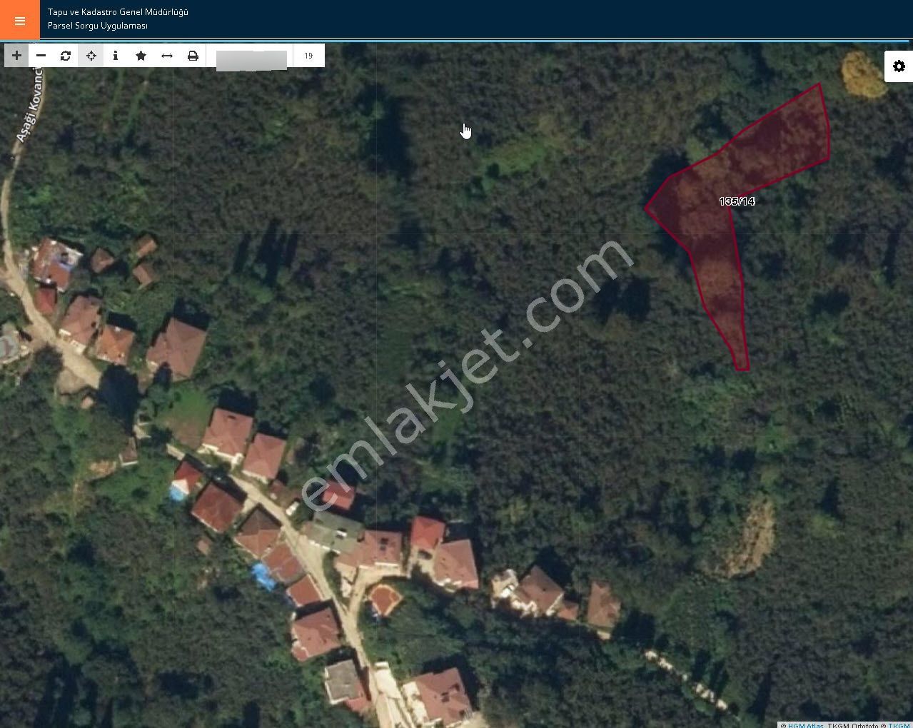 Ordu Perşembe Kutlucada Fırsat Takasa Açık Satılık 1350m2 Fındık Bahçesi - Görsel 7