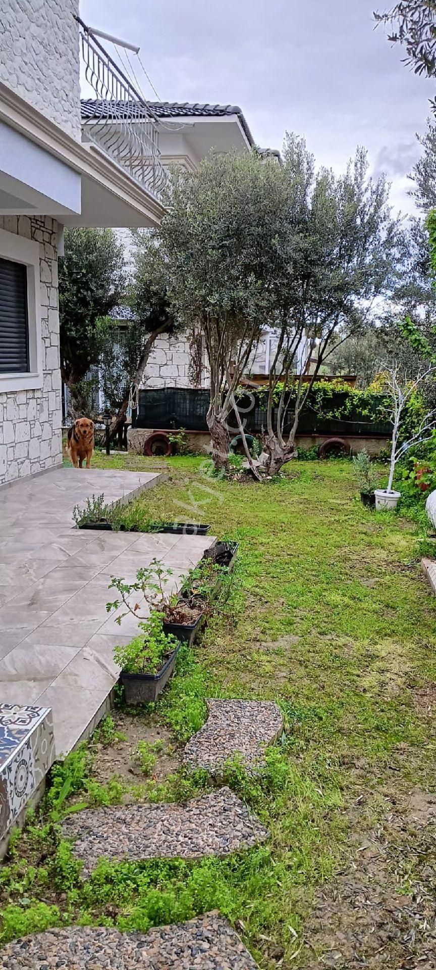 Sahibinden Kiralık Eşyalı Villa - Görsel 5