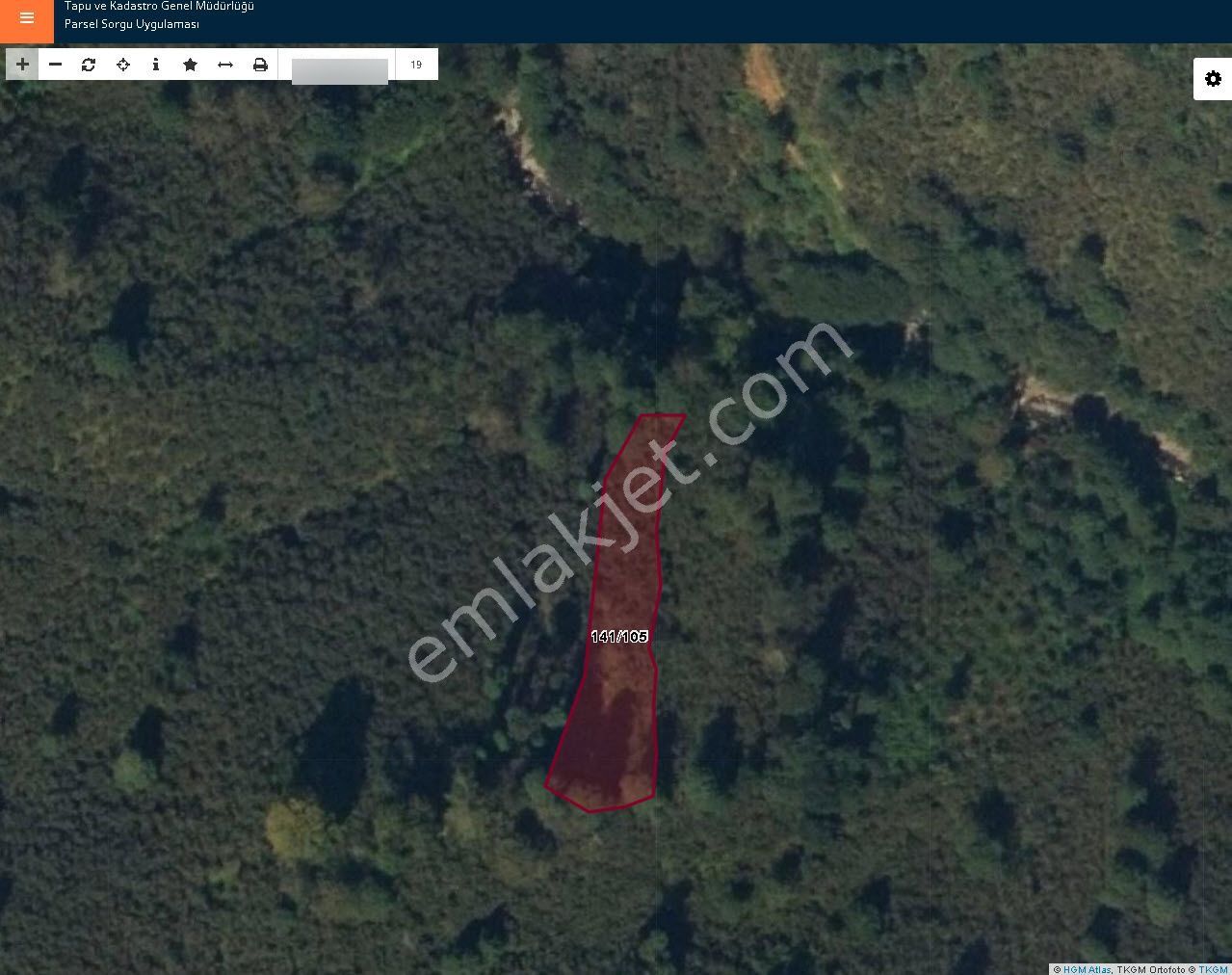 Ordu Perşembe Kutlucada Fırsat Takasa Açık Satılık 1200m2 Fındık Bahçesi - Görsel 7