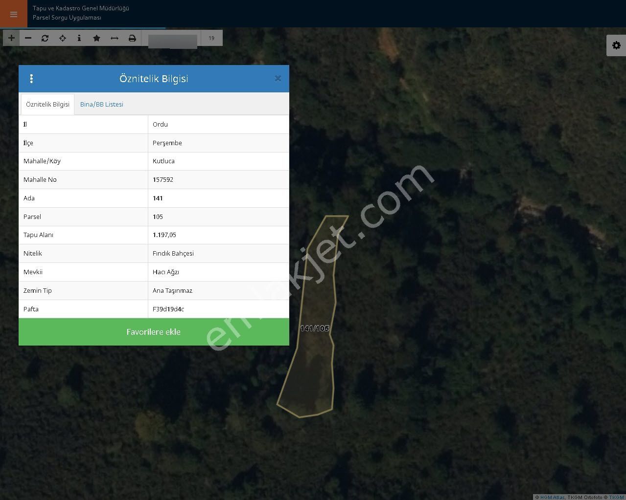 Ordu Perşembe Kutlucada Fırsat Takasa Açık Satılık 1200m2 Fındık Bahçesi - Görsel 4