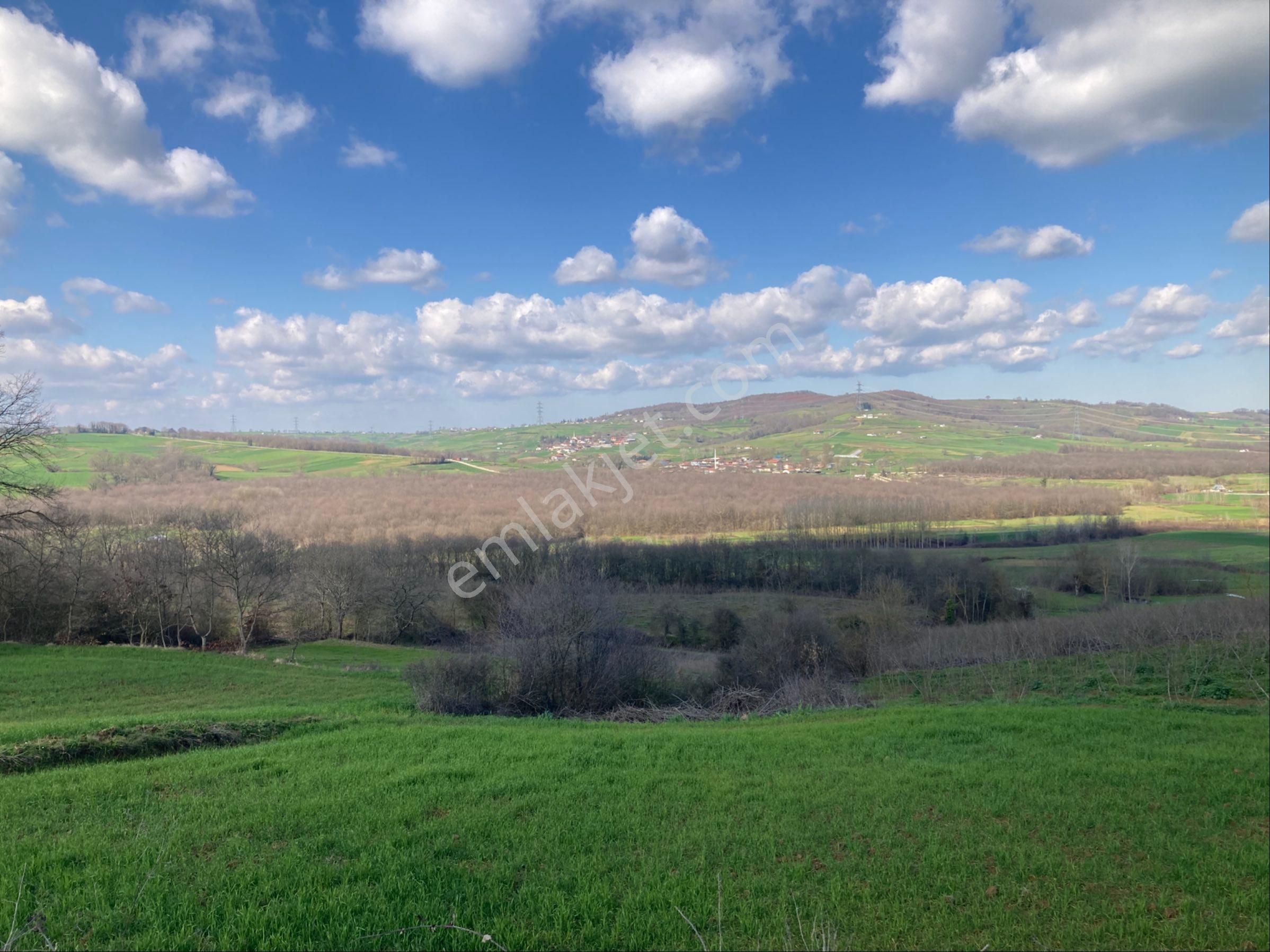 Kandıra Sarıgazi Köy Üstü Tarla - Görsel 15