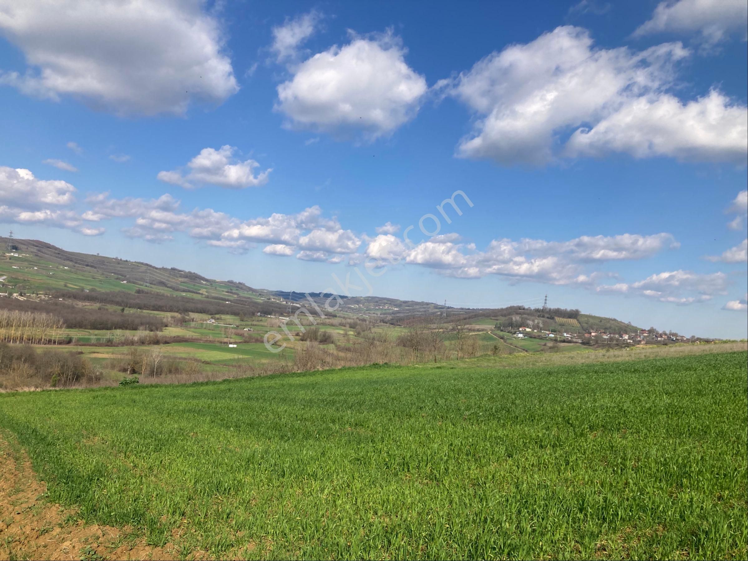 Kandıra Sarıgazi Köy Üstü Tarla - Görsel 10