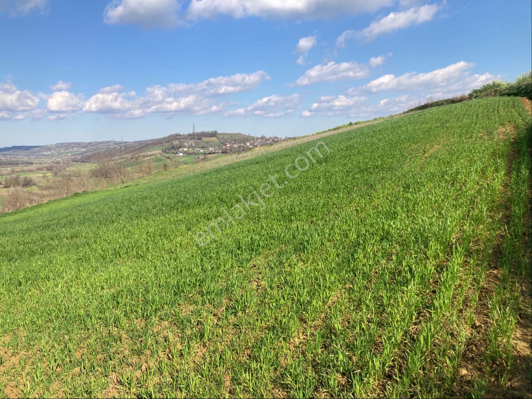 Kandıra Sarıgazi Köy Üstü Tarla - Görsel 9