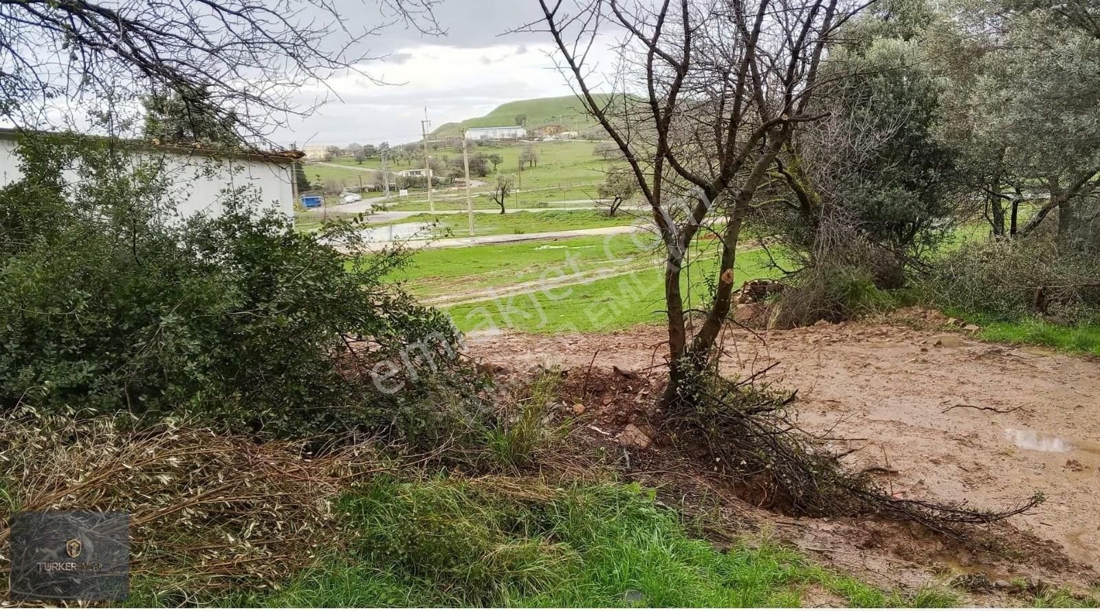 Türker Emlak-çakmaklı Köy'ü İçinde Denize 300m 62m²satılık Hisse - Görsel 27