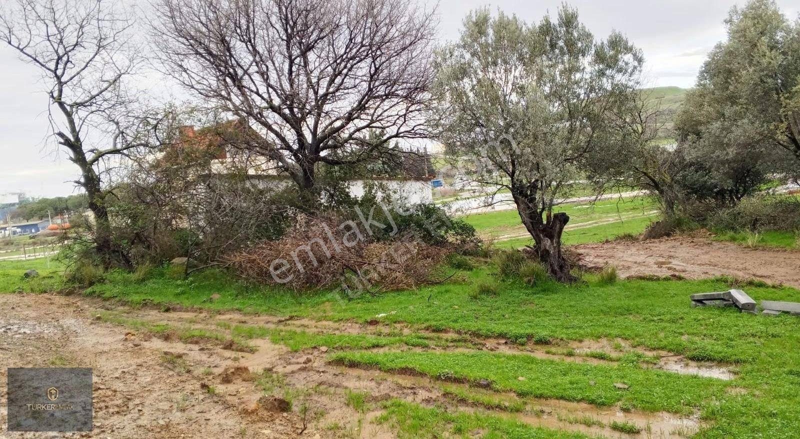 Türker Emlak-çakmaklı Köy'ü İçinde Denize 300m 62m²satılık Hisse - Görsel 26