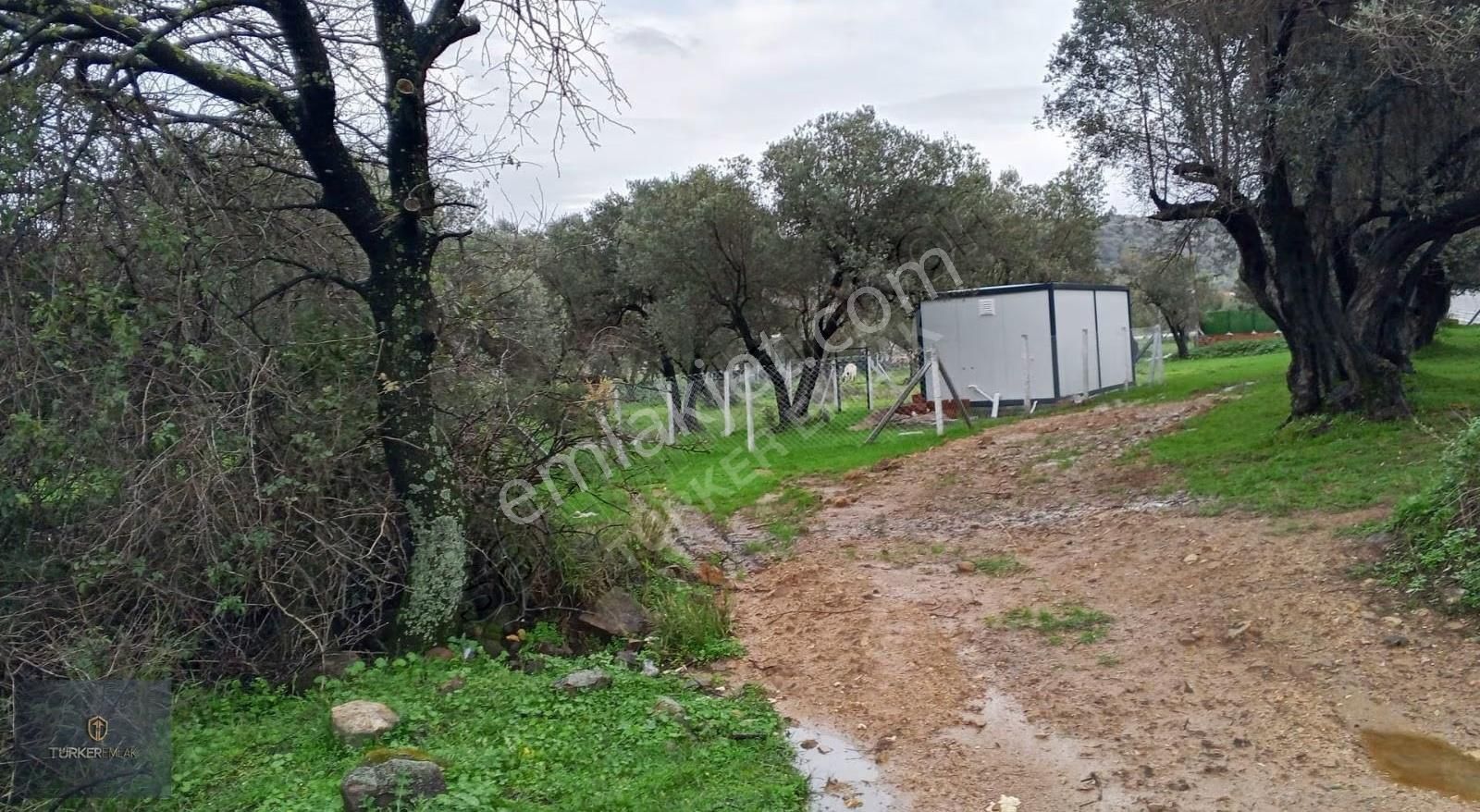 Türker Emlak-çakmaklı Köy'ü İçinde Denize 300m 62m²satılık Hisse - Görsel 15