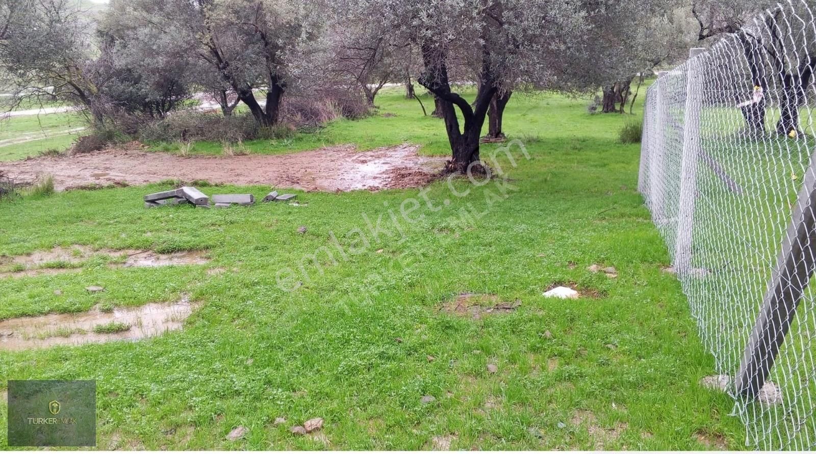 Türker Emlak-çakmaklı Köy'ü İçinde Denize 300m 62m²satılık Hisse - Görsel 8