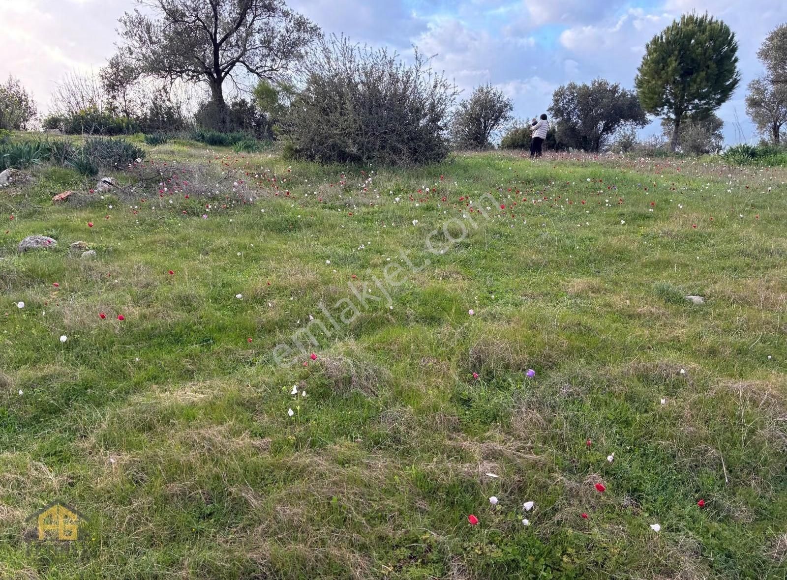Seydikemer Kıncılarda 850 M2 Yatırımlık Arazi - Görsel 12