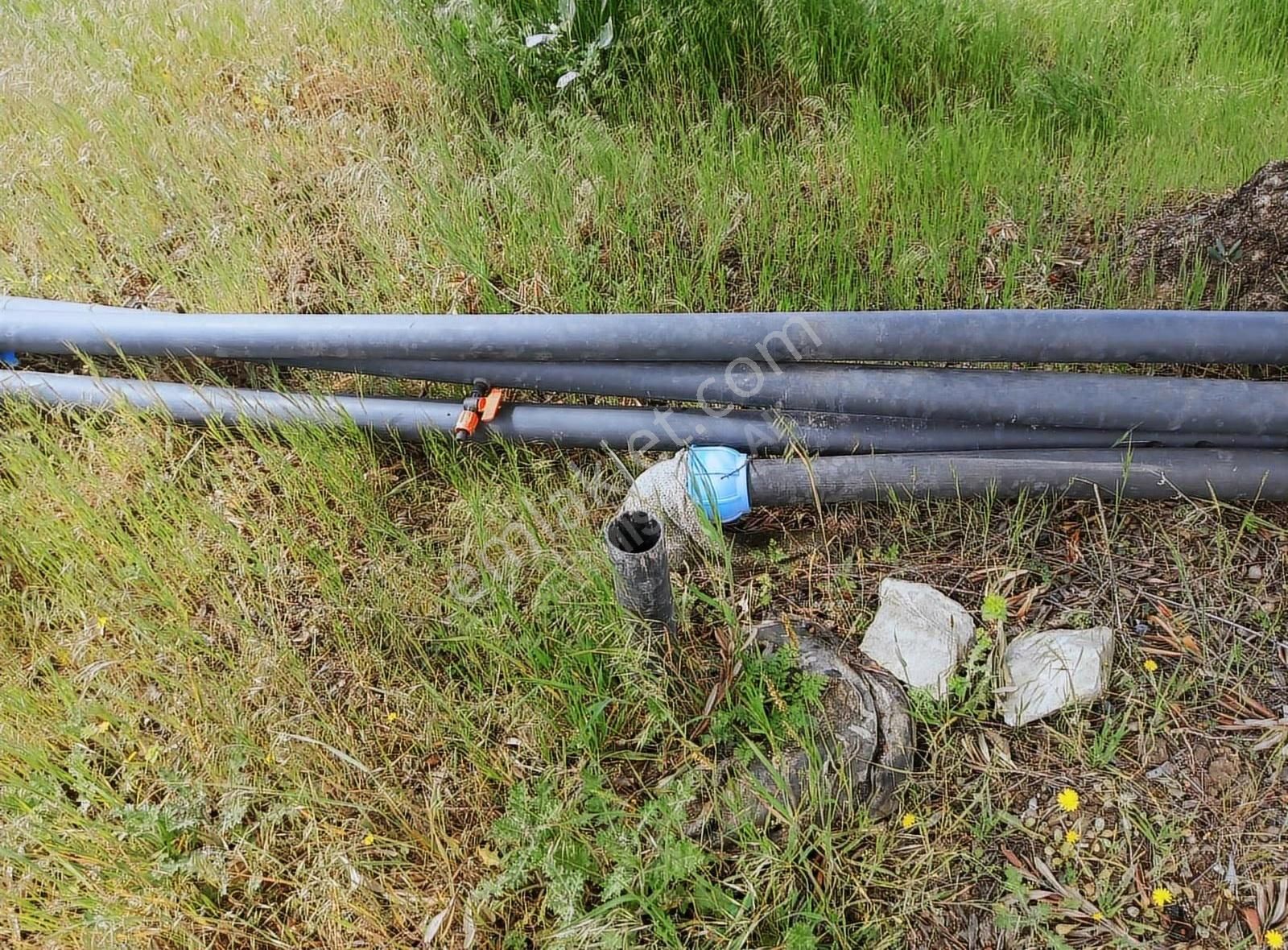 Hamidiye'de 16 Dönüm Zeytinlik: Sulu, Elektrikli, Yola Cepheli - Görsel 17