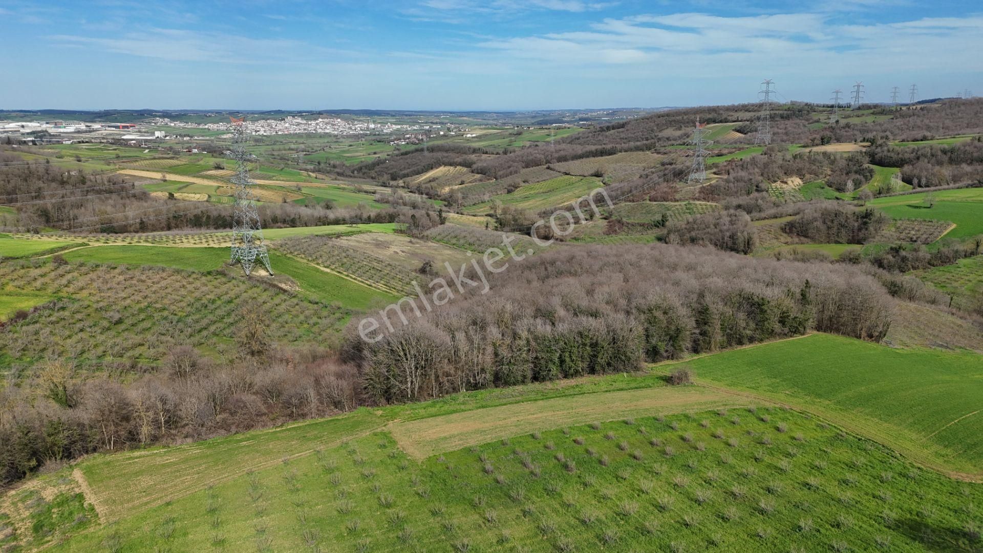 Remax Mavi Muratocaktar'dan Kaynarca Gölce’de 721 M² Tarla - Görsel 15