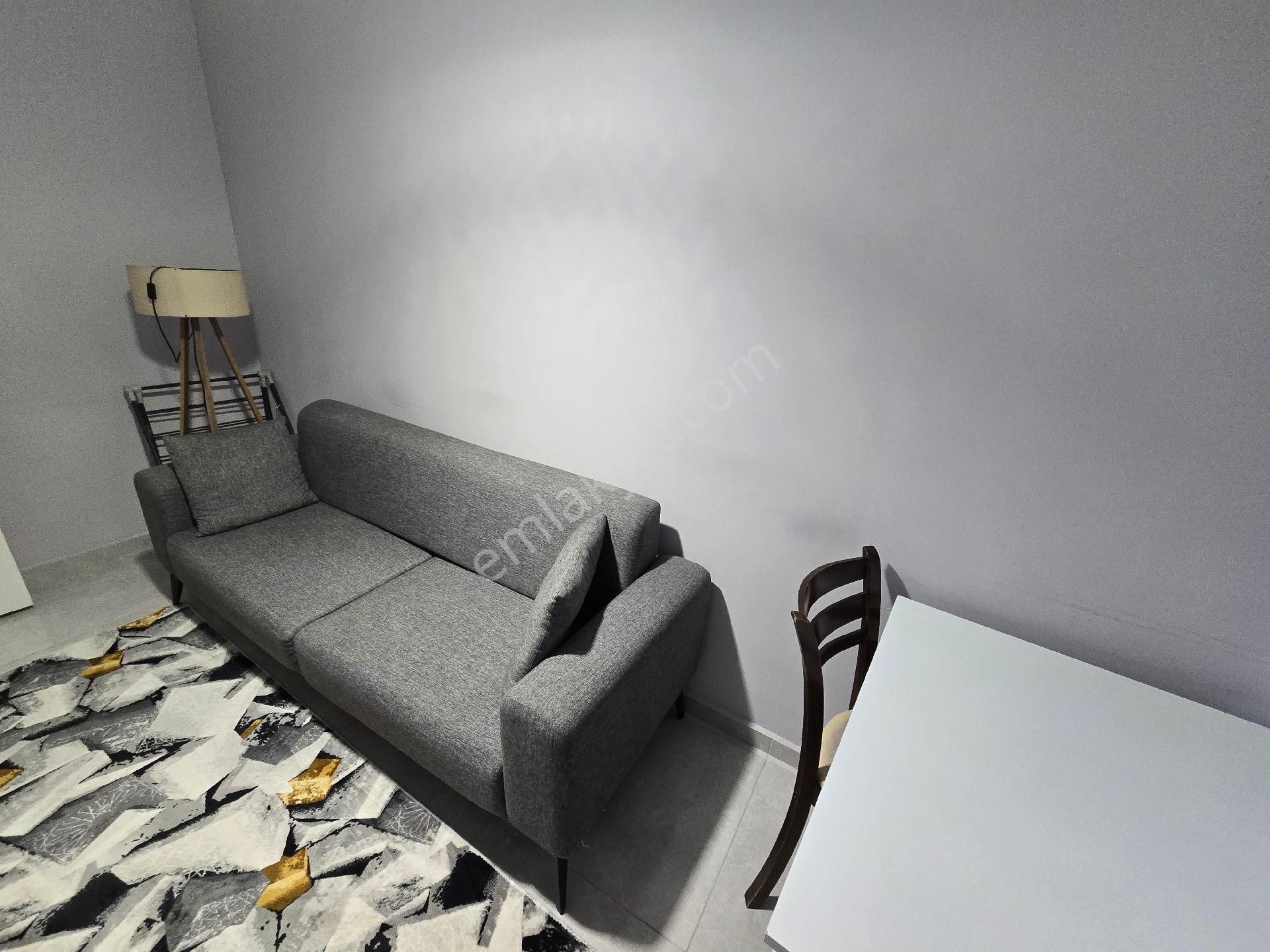 Eskişehir Odunpazarı Büyükdere Mh Eşyalı 1+1 Satılık