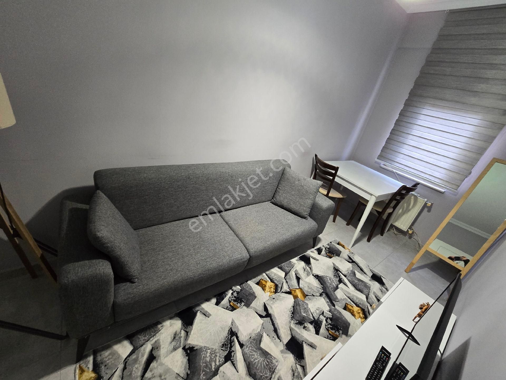Eskişehir Odunpazarı Büyükdere Mh Eşyalı 1+1 Satılık - Görsel 24
