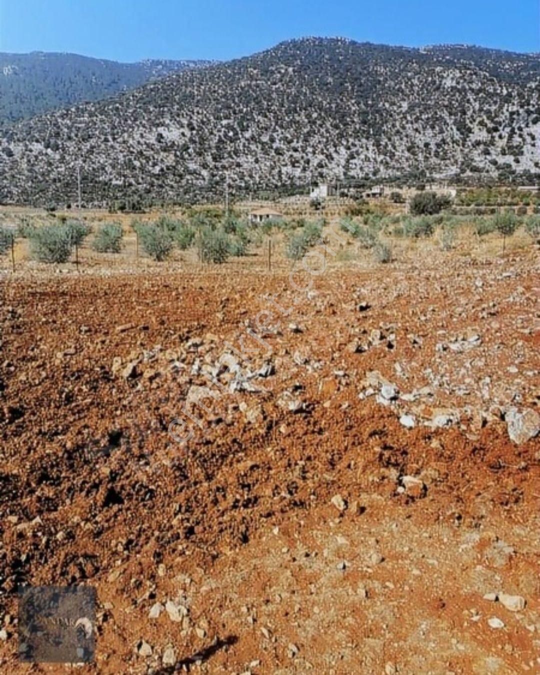 Döşemealtı Akkoç’ta Tek Tapulu 426 M² Stratejik Yatırım Arazisi - Görsel 3