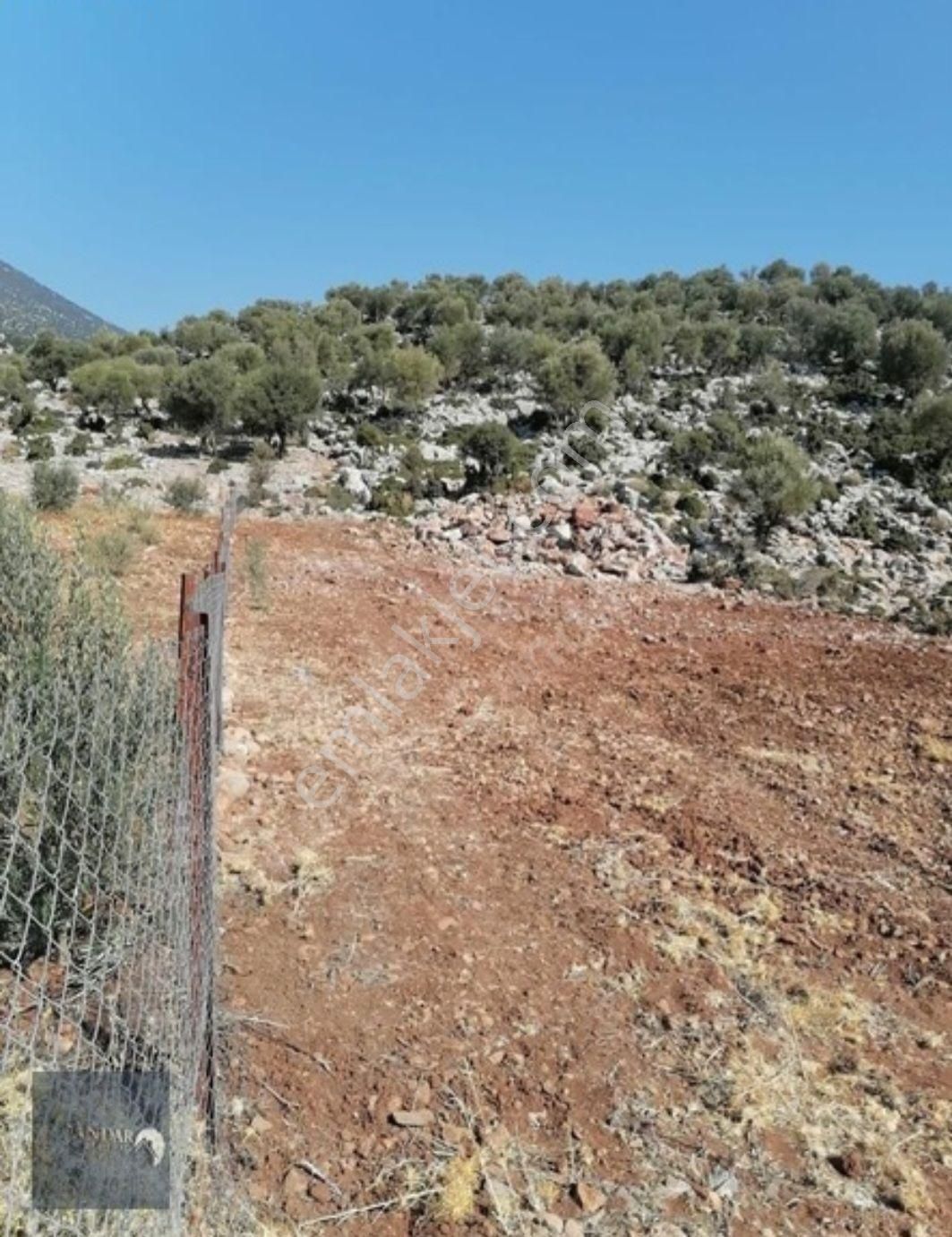 Döşemealtı Akkoç’ta Tek Tapulu 426 M² Stratejik Yatırım Arazisi - Görsel 9