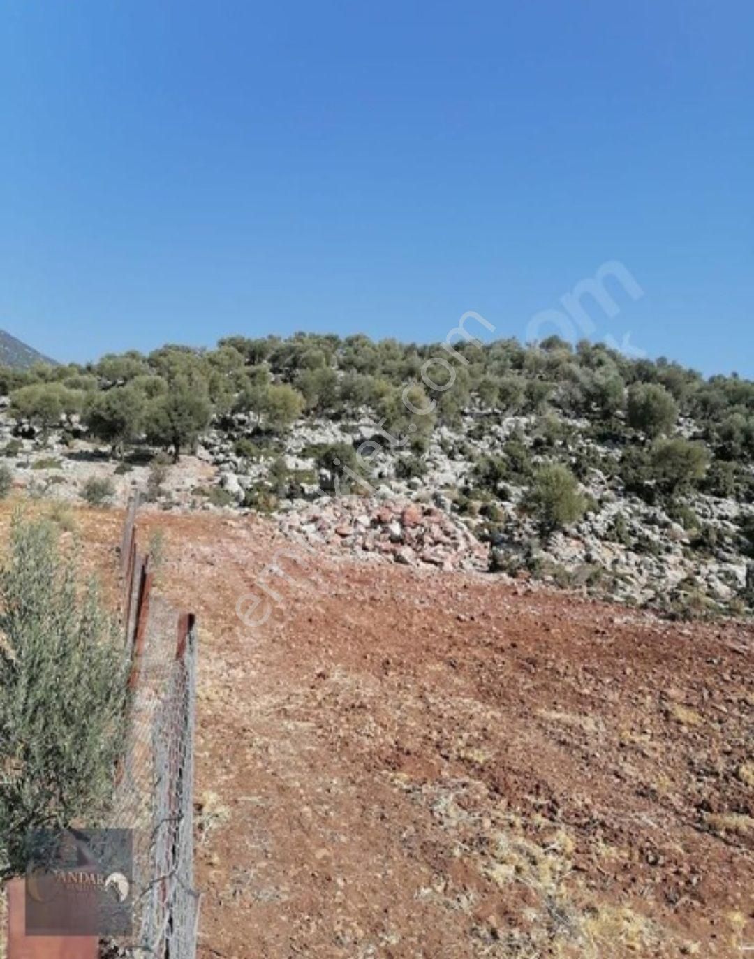 Döşemealtı Akkoç’ta Tek Tapulu 426 M² Stratejik Yatırım Arazisi