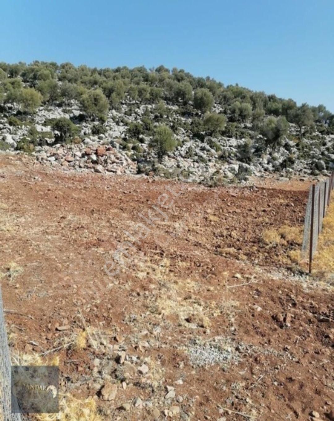 Döşemealtı Akkoç’ta Tek Tapulu 426 M² Stratejik Yatırım Arazisi - Görsel 6