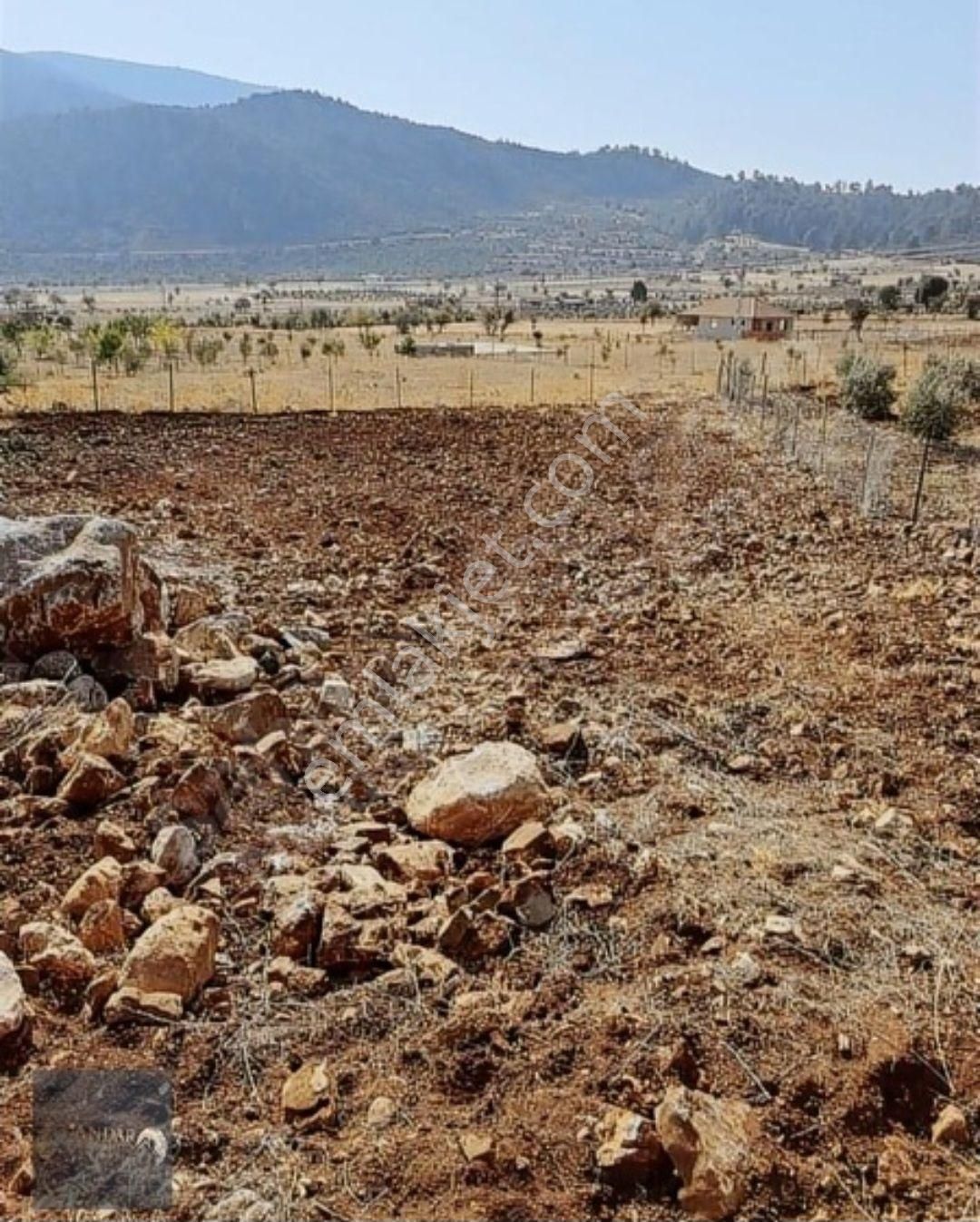 Döşemealtı Akkoç’ta Tek Tapulu 426 M² Stratejik Yatırım Arazisi - Görsel 7