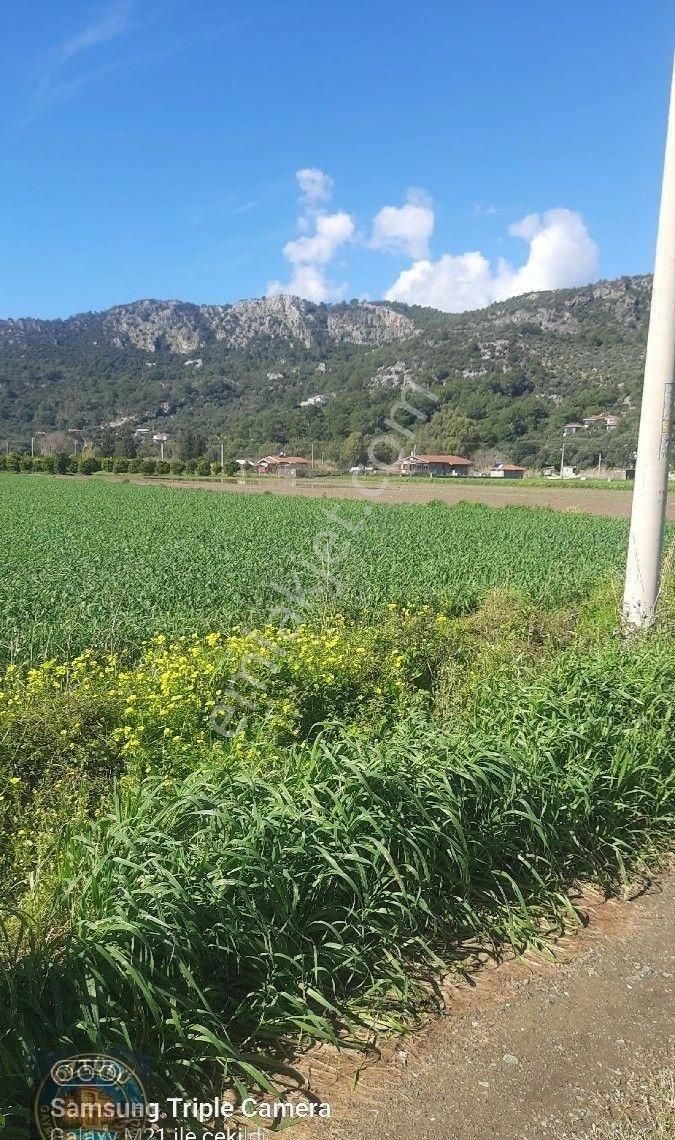 Fevziyede 2340 M2 Rıza-i Taksimli Tarla - Görsel 4