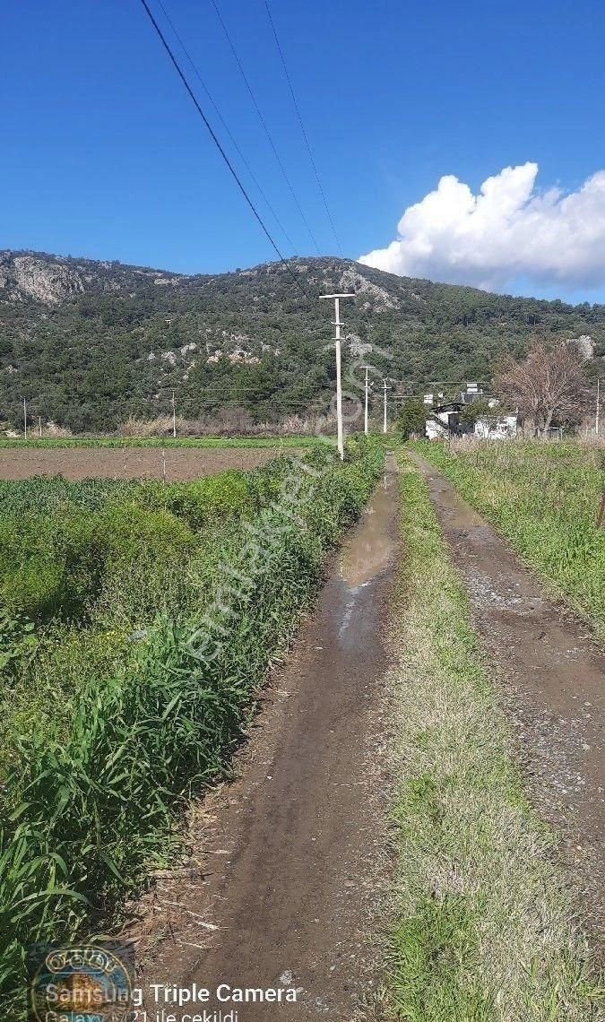 Fevziyede 2340 M2 Rıza-i Taksimli Tarla - Görsel 6