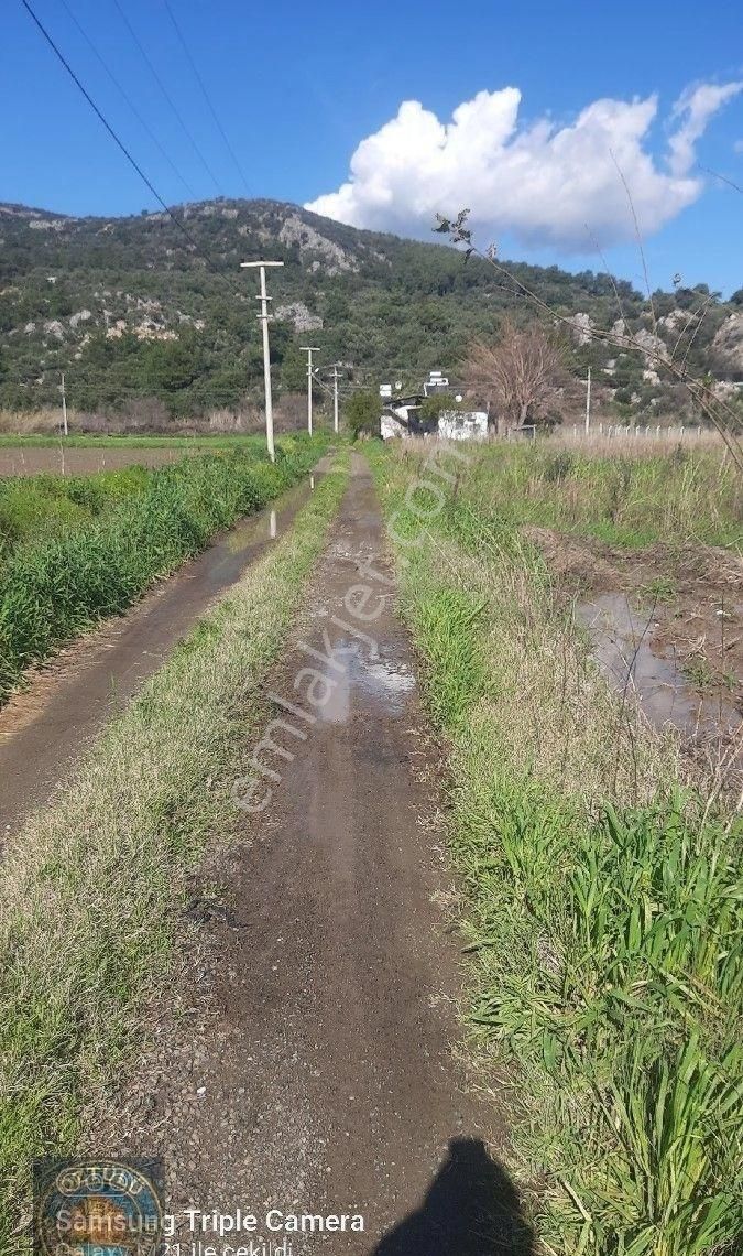 Fevziyede 2340 M2 Rıza-i Taksimli Tarla - Görsel 7