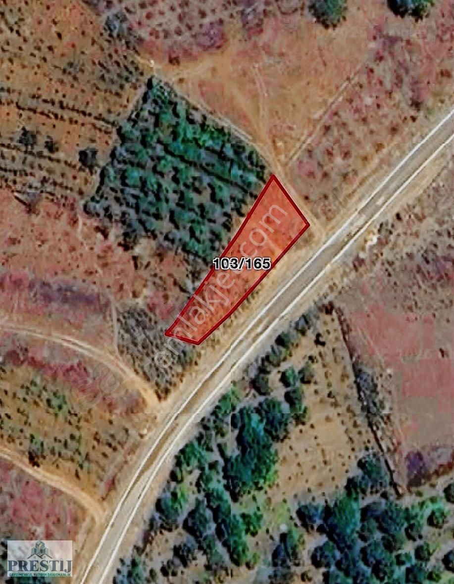 Prestij Gayrimenkulden Konya Hadim Bademli Köyü Satılık Bahçe - Görsel 2