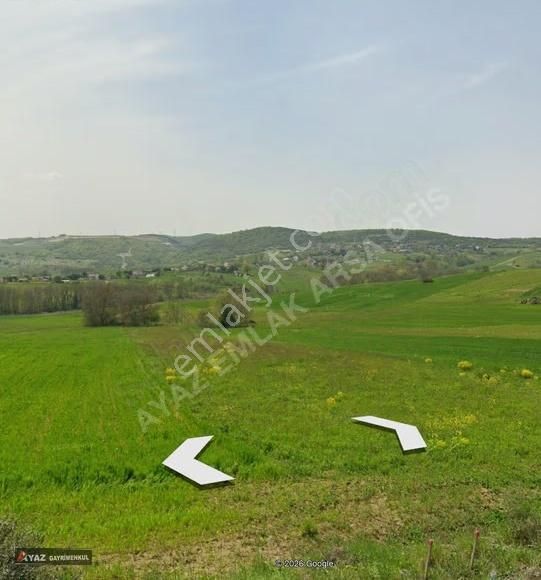 Kocaeli Körfez'de Acil Satılık Köy Dibi 2600 M2 Tek Tapu Tarla