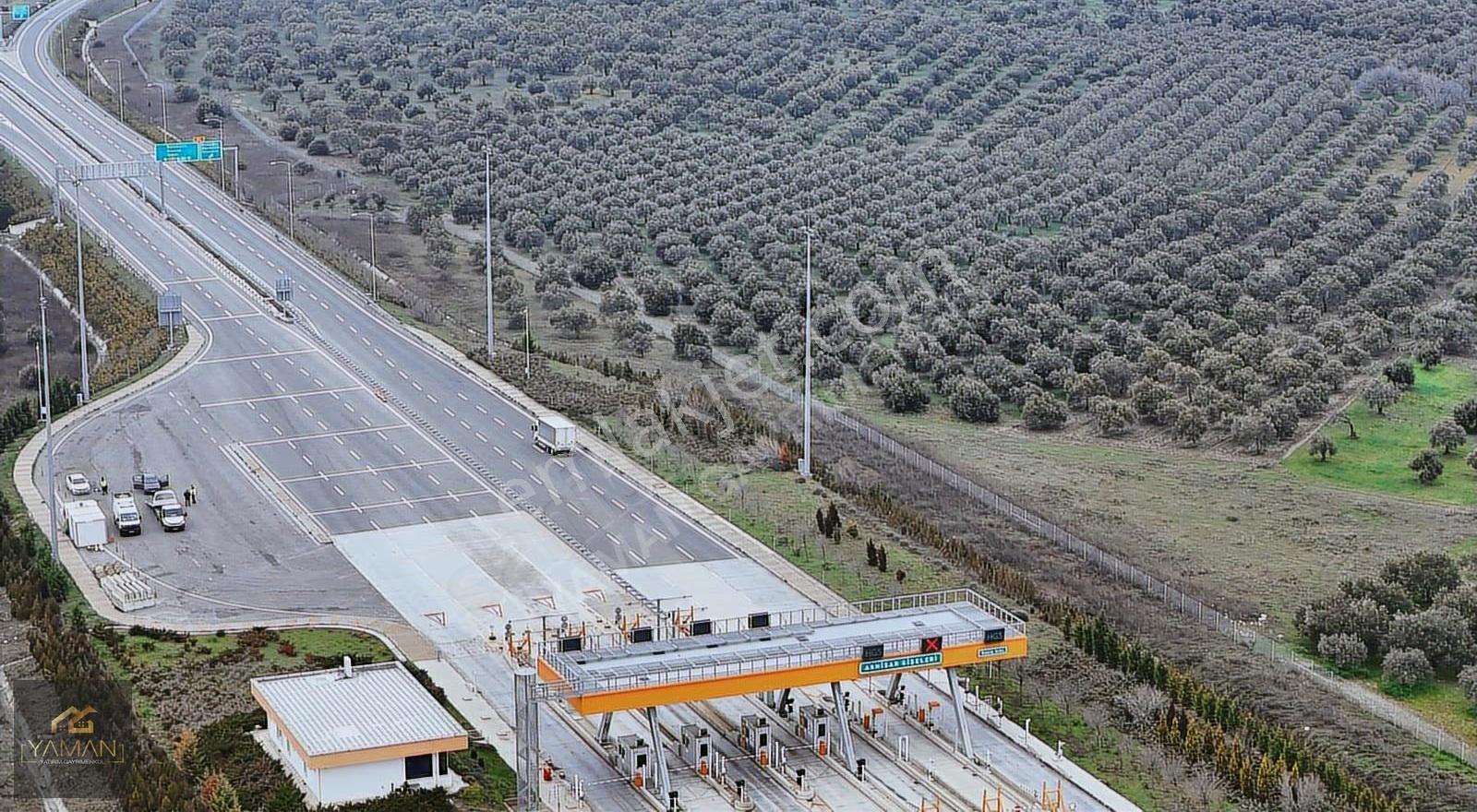 Akhisarda Gişelere Komşu 230 Ağaçlı Trilye Zeytinlik - Görsel 33