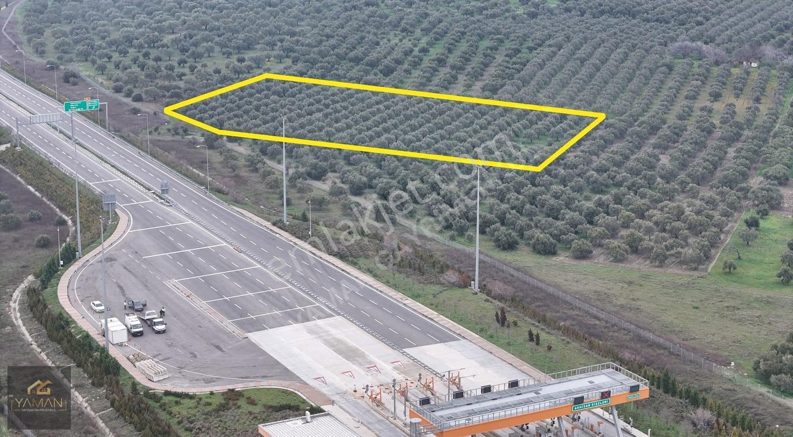 Akhisarda Gişelere Komşu 230 Ağaçlı Trilye Zeytinlik - Görsel 28
