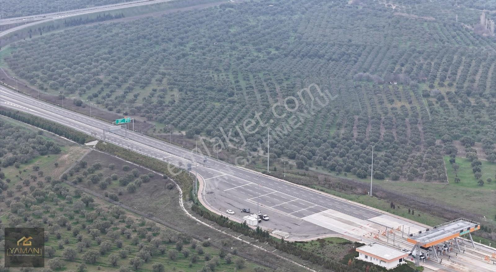 Akhisarda Gişelere Komşu 230 Ağaçlı Trilye Zeytinlik - Görsel 13