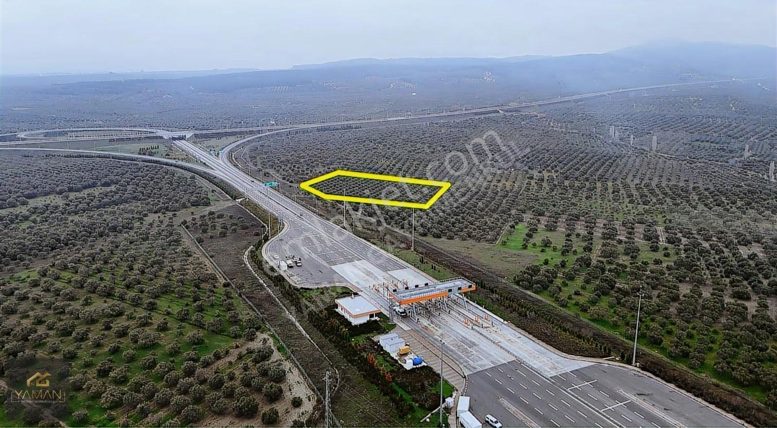 Akhisarda Gişelere Komşu 230 Ağaçlı Trilye Zeytinlik - Görsel 17