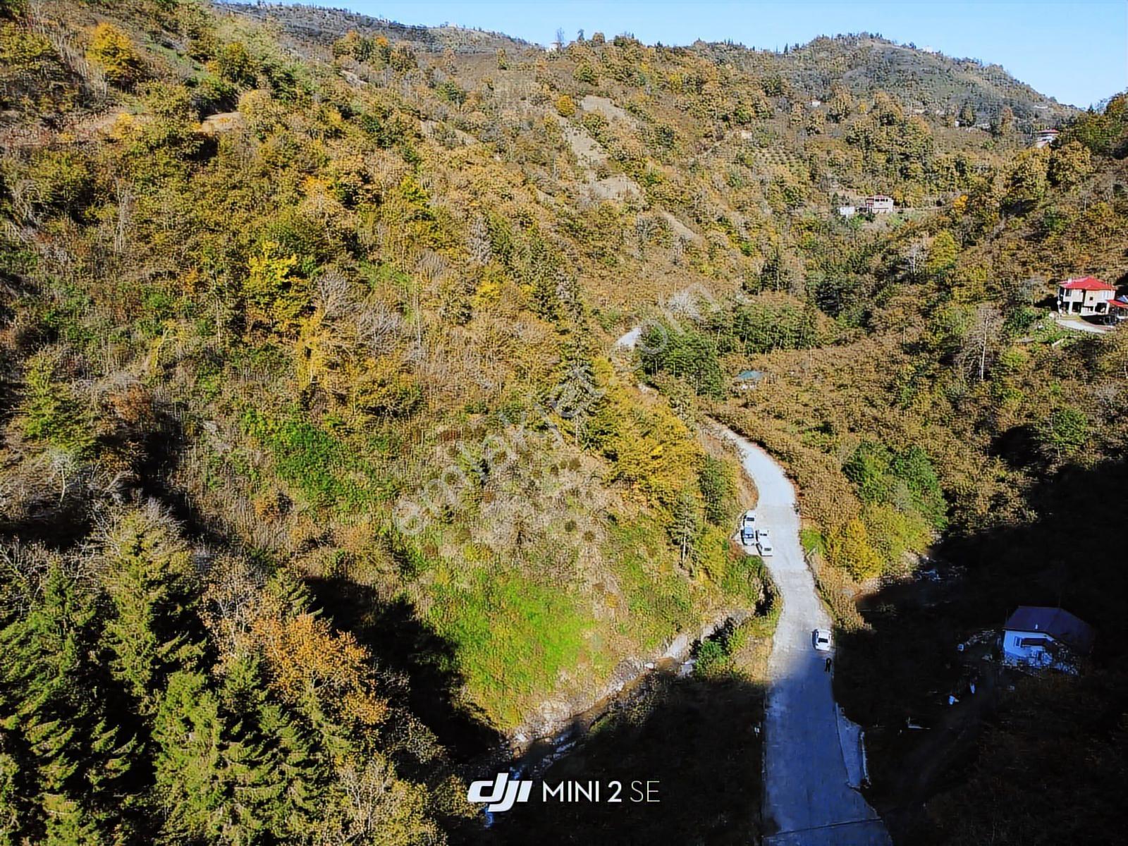 Trabzon Yeşilyurtta Satılık Araziler - Görsel 10
