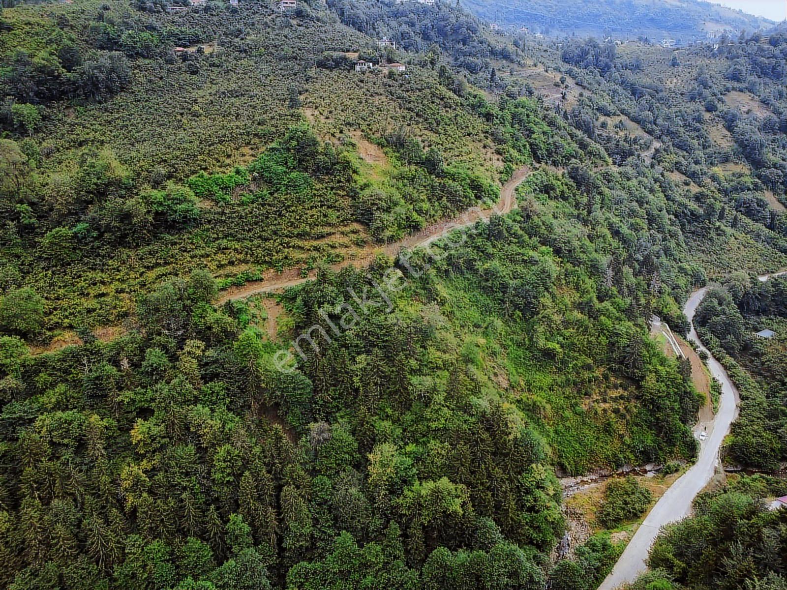 Trabzon Yeşilyurtta Satılık Araziler - Görsel 9