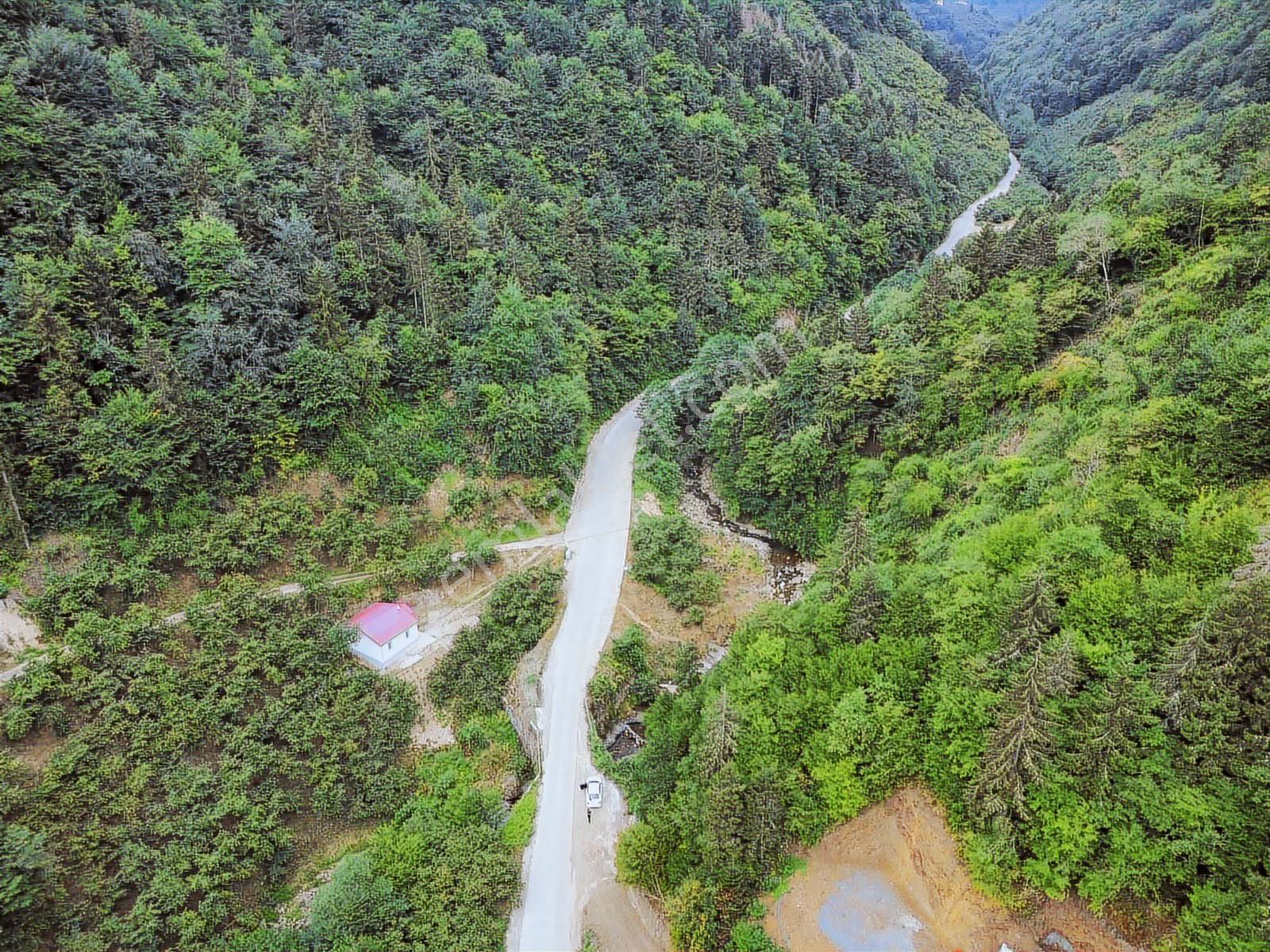 Trabzon Yeşilyurtta Satılık Araziler - Görsel 6