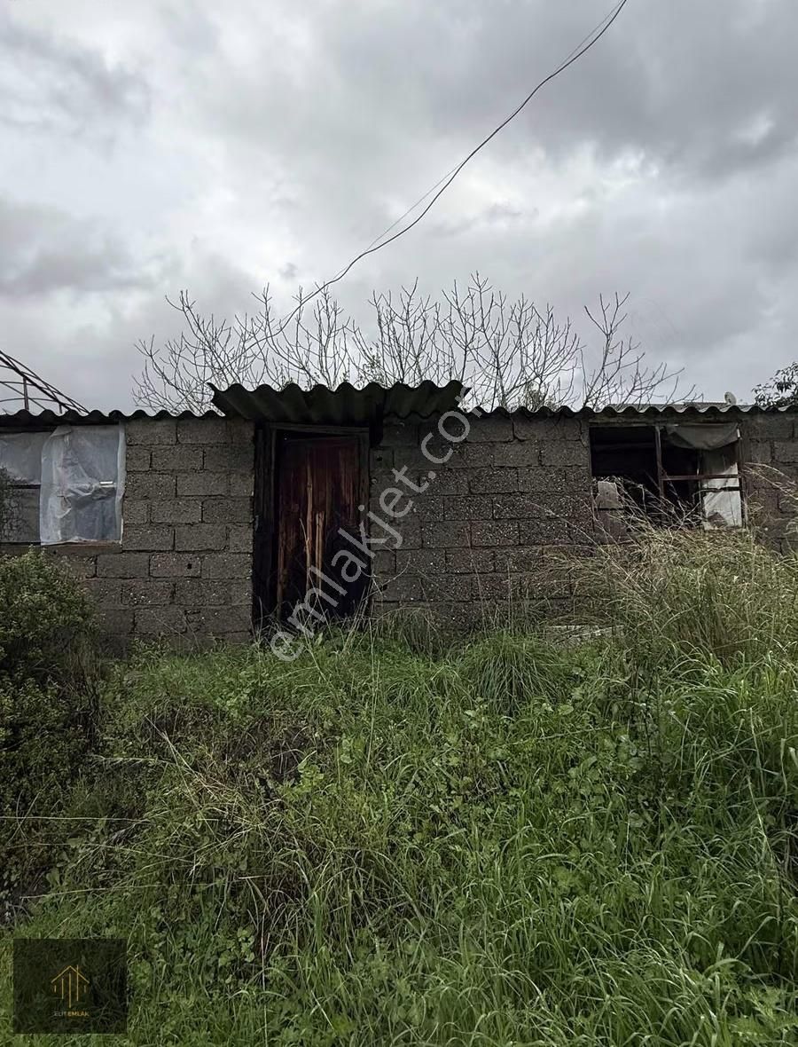 Çobanlar Mh. 2300 M2 Tarla - Görsel 3