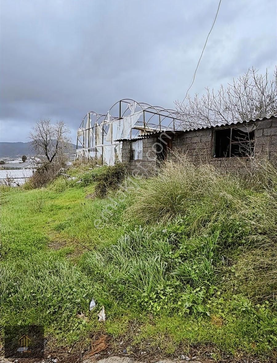 Çobanlar Mh. 2300 M2 Tarla - Görsel 8