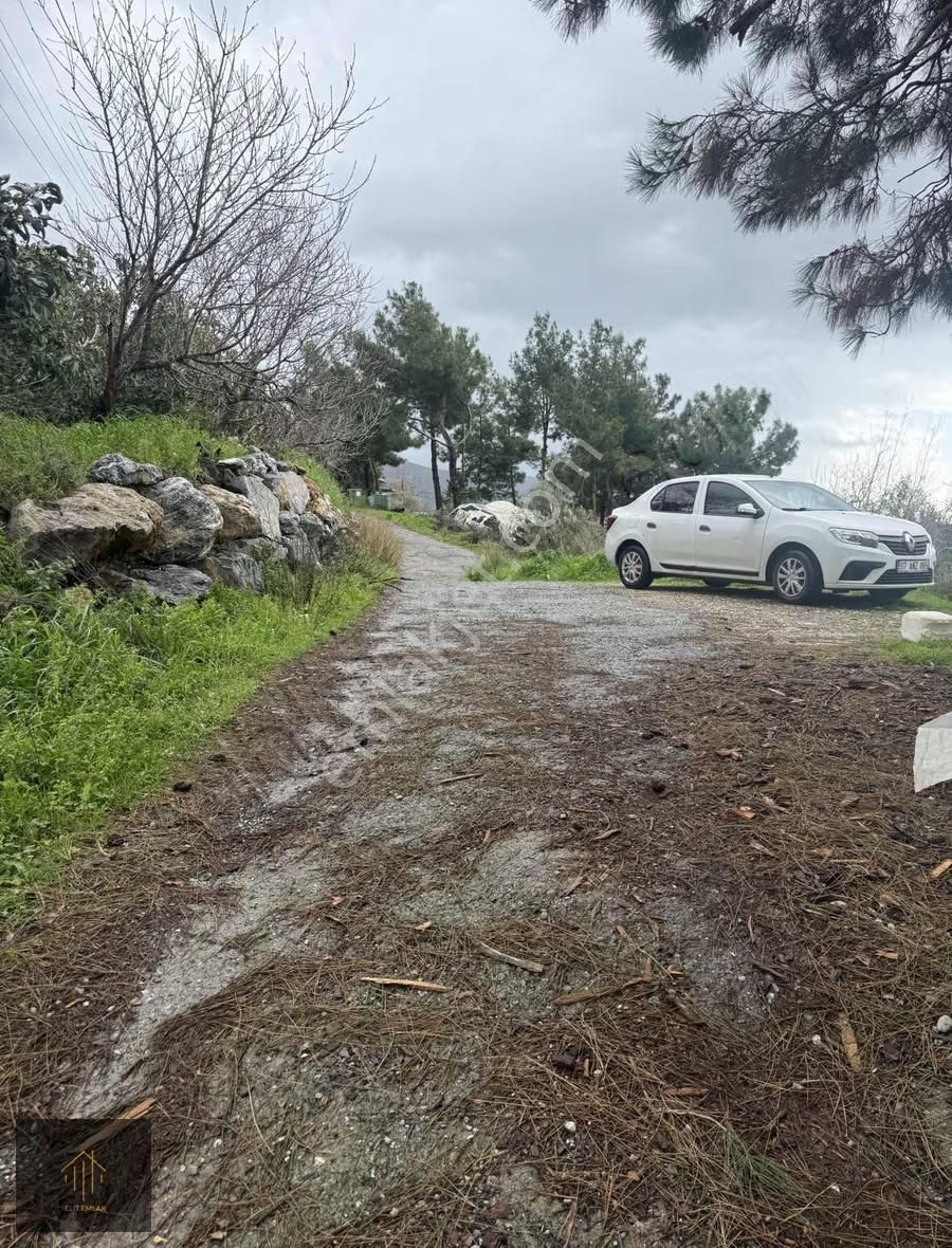 Çobanlar Mh. 2300 M2 Tarla - Görsel 5