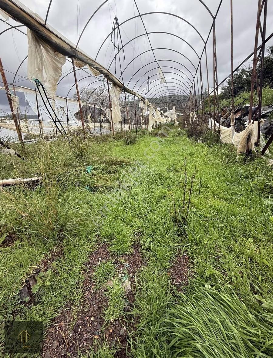 Çobanlar Mh. 2300 M2 Tarla - Görsel 7