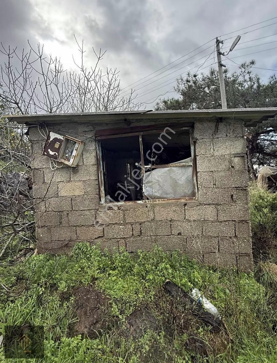 Çobanlar Mh. 2300 M2 Tarla - Görsel 6