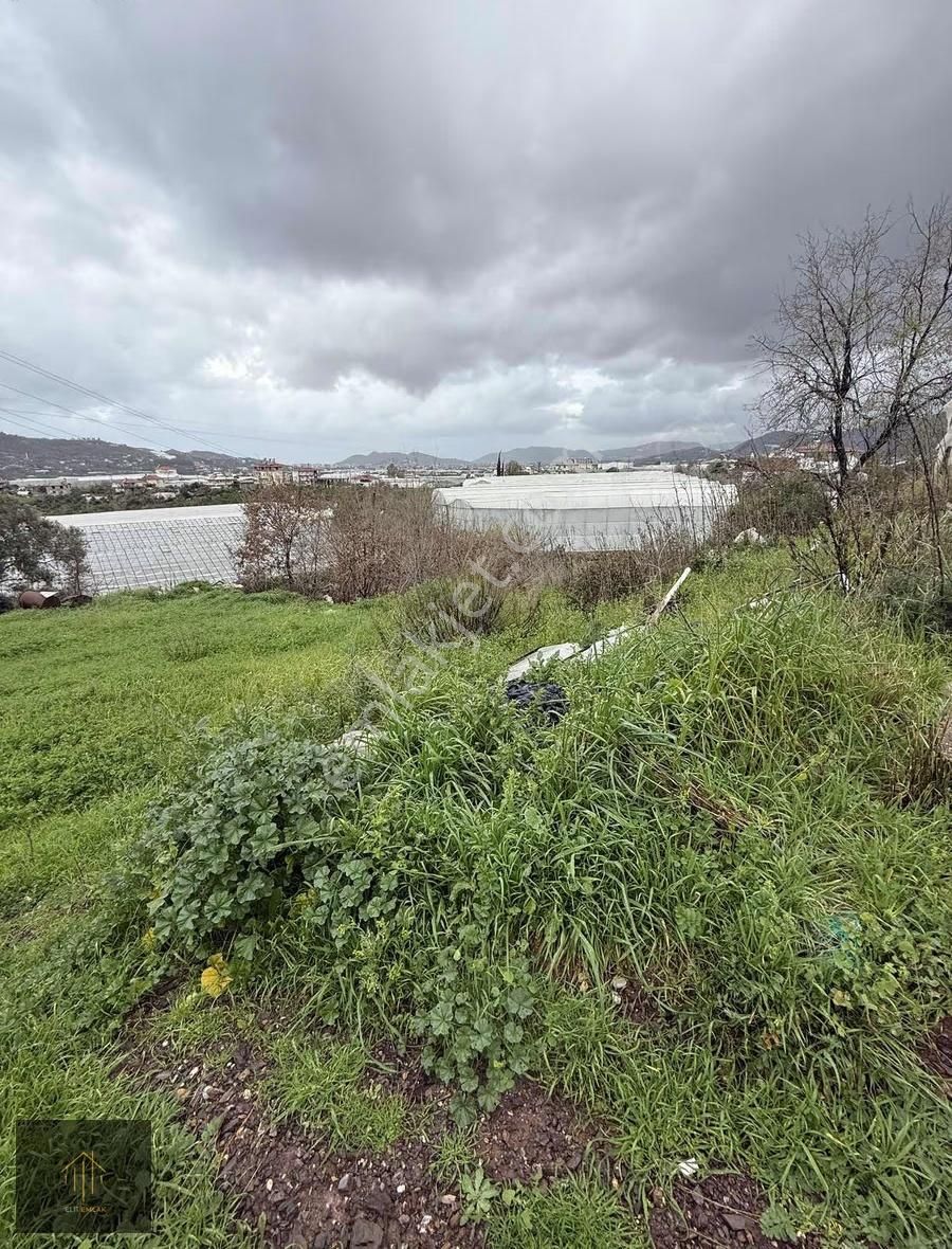 Çobanlar Mh. 2300 M2 Tarla - Görsel 9